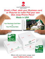 Free BizCar Pad Flyer